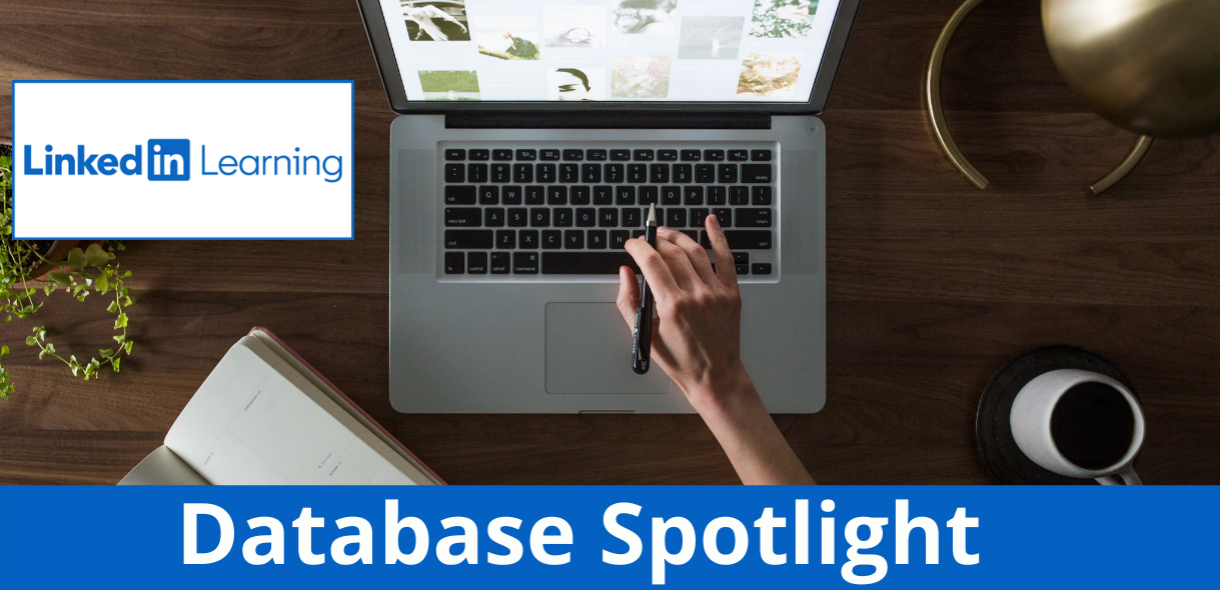 Database Spotlight - LinkedIn Learning
