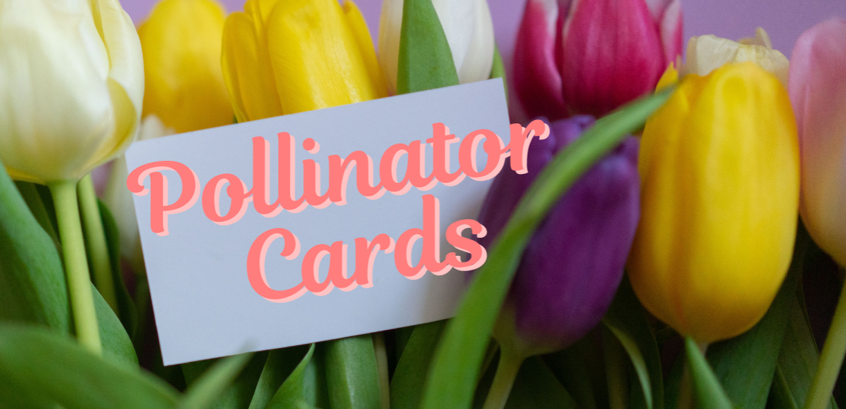 Pollinator Cards
