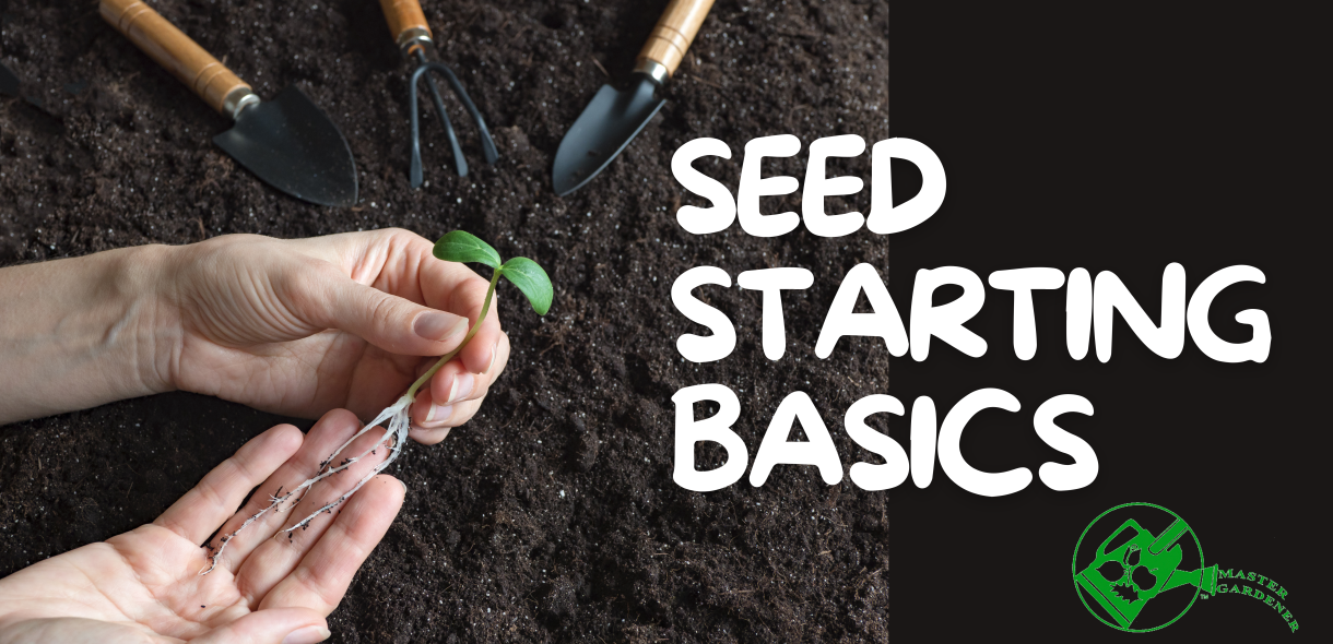 Seed Starting Basics