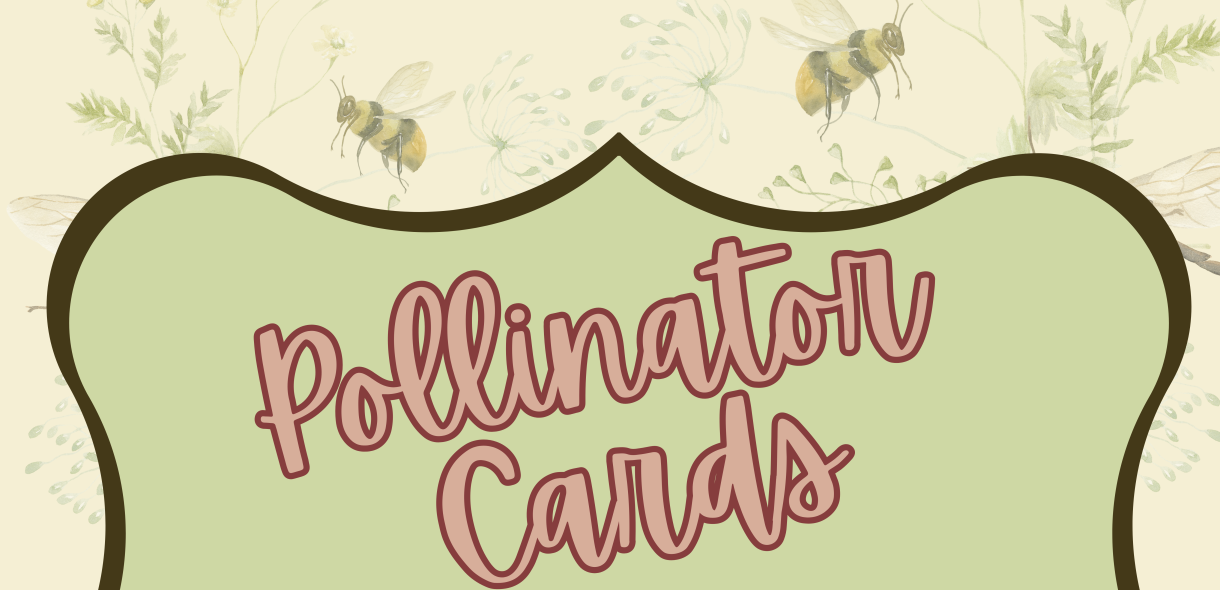 Pollinator Cards