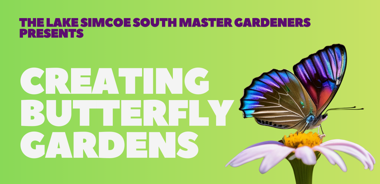 Creating Butterfly Gardens