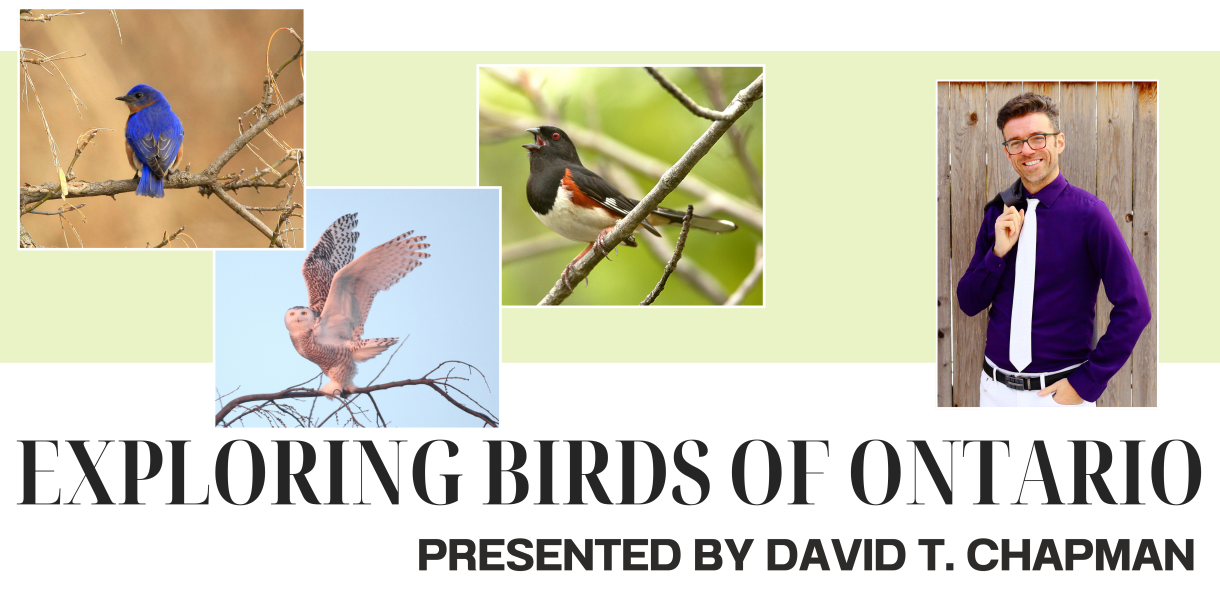 Exploring Birds of Ontario 