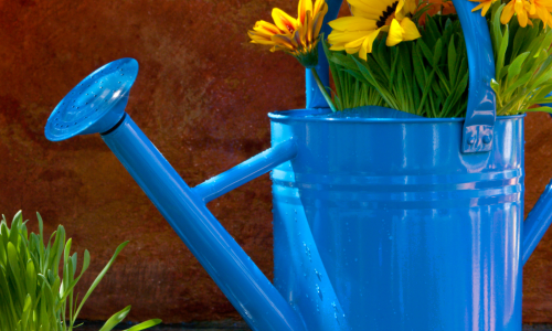 May-June 2025 Newsletter
