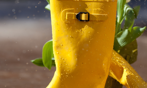 March-April 2026 Newsletter