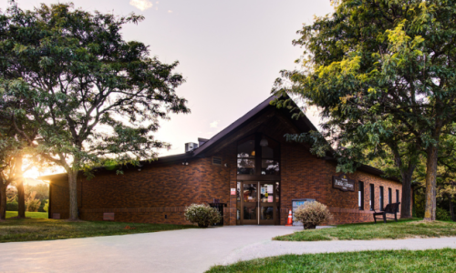 Library Discovery Days